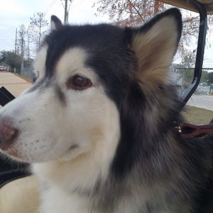 Meet your Posher, Sonya